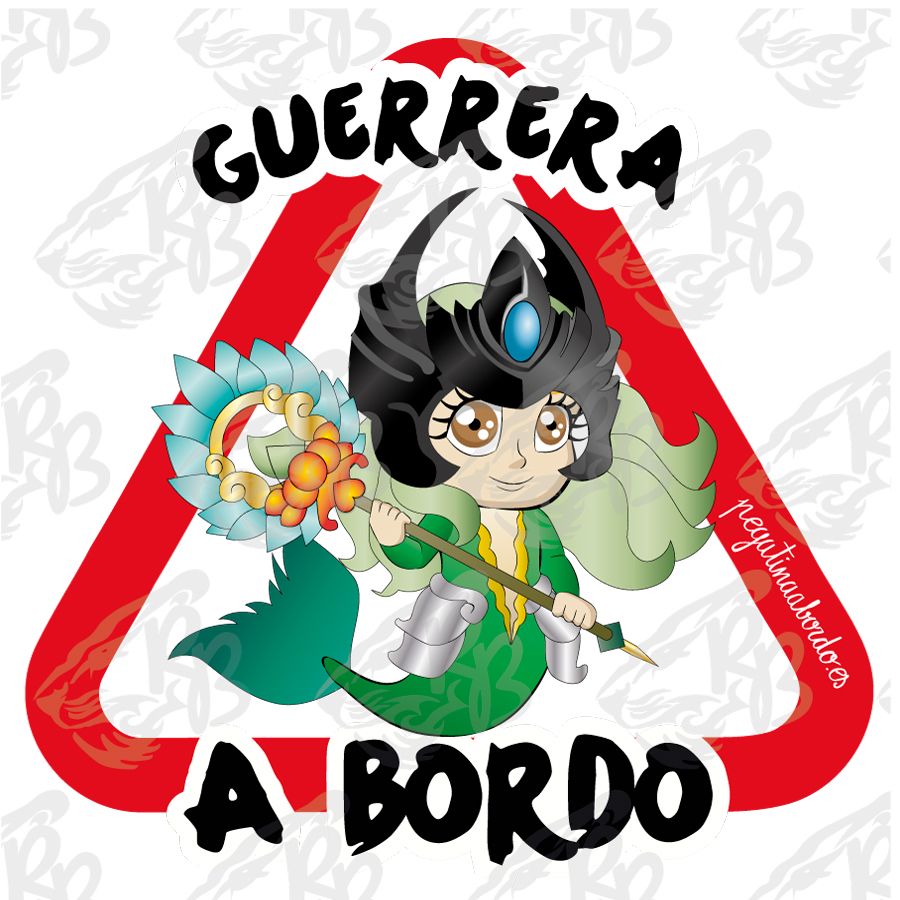 GUERRERA DE LOS MARES A BORDO